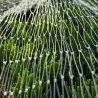 Filet de Protection Anti-Oiseaux 4x5m - Maille 15x15mm en Nylon Résistant