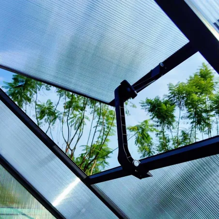 Serre de Jardin en Aluminium avec Polycarbonate 119x177x192cm - Transparente et Verte