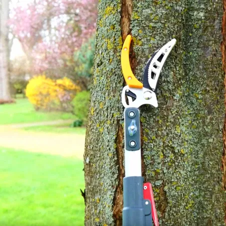 Sécateur téléscopique 2 en 1 - Coupe et scie extensible jusqu'à 4 m