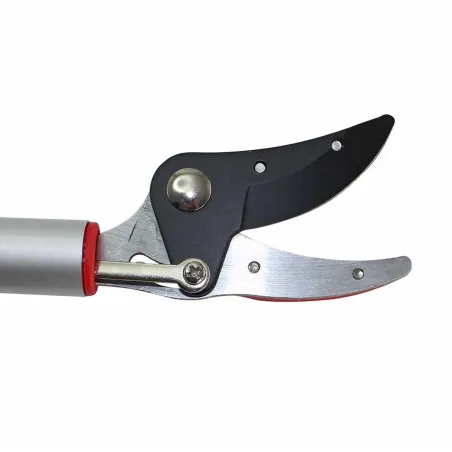Sécateur télescopique à long manche - Coupe précise jusqu'à 2,30 m