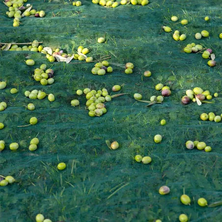 Filet de récolte 12x12m maille 5x5mm - Polyéthylène haute densité 50g/m²