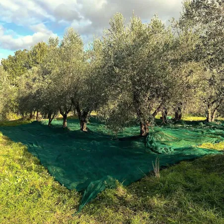 Filet de récolte 8x8m à maille fine 5x5mm - Polyéthylène haute densité