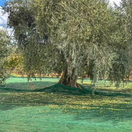 Filet de récolte 4x4m - Maille 5x5mm en polyéthylène haute densité