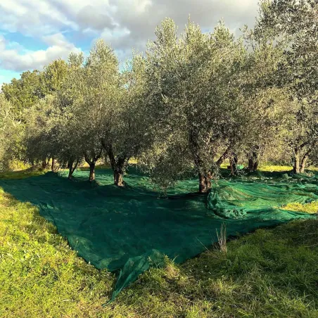 Filet de récolte 4x4m - Maille 5x5mm en polyéthylène haute densité