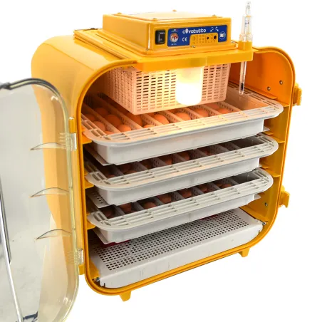 Couveuse semi-automatique Novital Covatutto 162