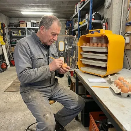 Couveuse semi-automatique Novital Covatutto 162