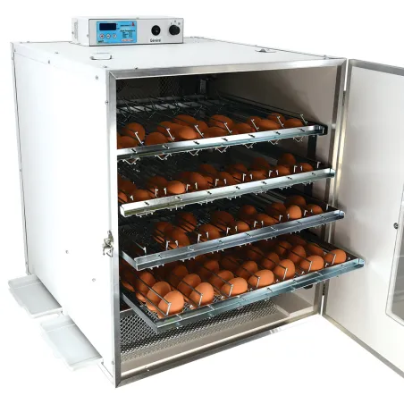 Couveuse automatique Maino Mini Pro 196 Digitale