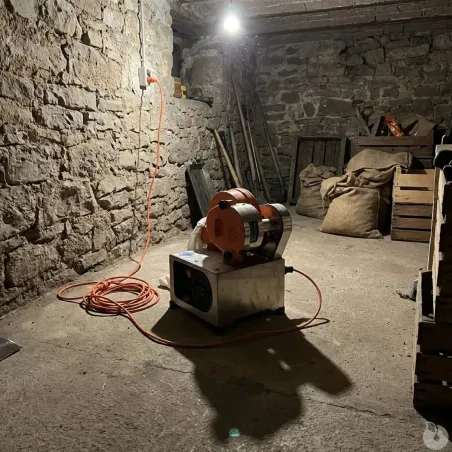 Plumeuse à sec SENESI® STRIP 220V