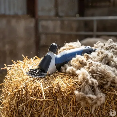 Tondeuse pour moutons - Heiniger Xpert
