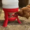 Mangeoire anti-gaspillage sur pieds 23 kg Gaun – Grande capacité