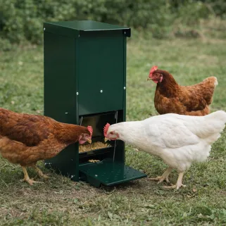 Mangeoire anti-nuisible 12 kg thermolaquée vert