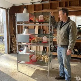 Kit complet 3 cages éleveuses poussins ou cailles