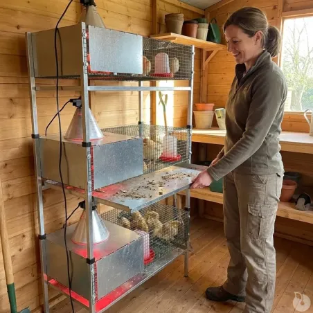 Kit complet 3 cages éleveuses poussins ou cailles