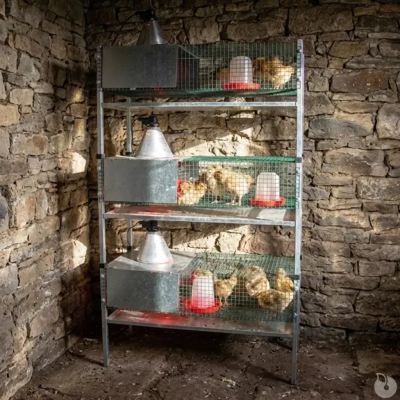 Kit complet 3 cages éleveuses poussins ou cailles