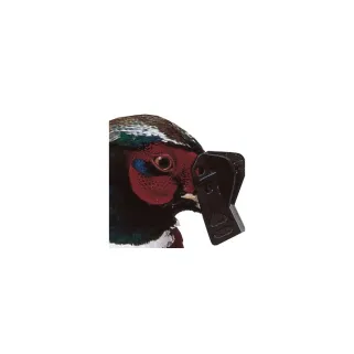 Antipicage Speed-bec grand modèle par lot de 5 ou 100