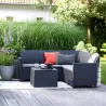 Ensemble mobilier de jardin Keter Claire 1 canapé + 1 table basse gris