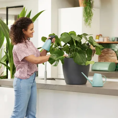 Vaporisateur à plantes 0,7 L Elho