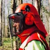 Casque forestier complet orange pour homme - Protection intégrale EN 397+A1