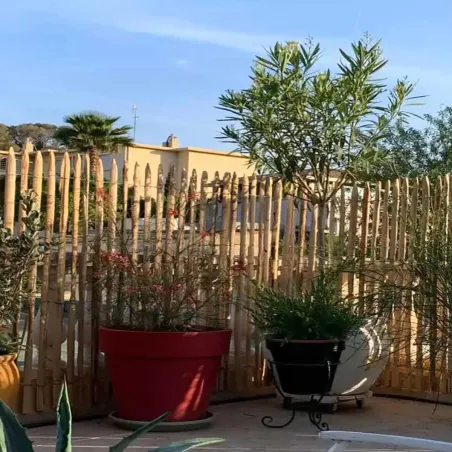 Ganivelle en Châtaignier - Rouleau 5m x Hauteur 1m - Espacement 6-7 cm