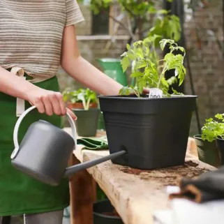 Bac de culture plastique forme carré Elho 30 x 25 x 30 cm