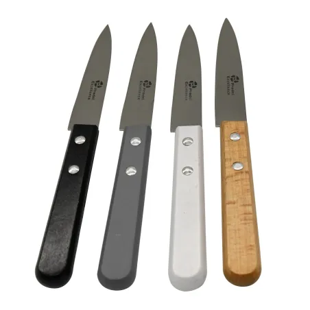 Couteaux Office Lot de 4