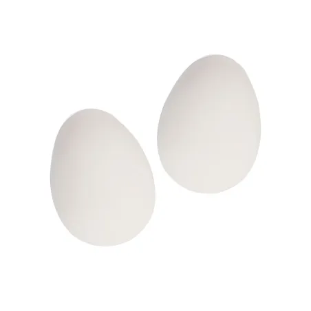 Lot de 2 oeufs factices caoutchouc crème
