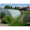 Mini serre de jardin avec aération Largeur 3.70 m