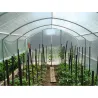 Serre de jardin avec aérations Largeur 3 m
