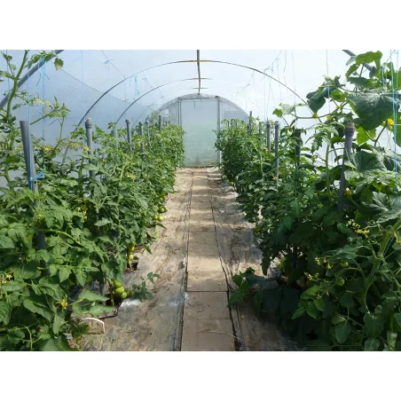 Mini serre de jardin avec aération Largeur 3.70 m