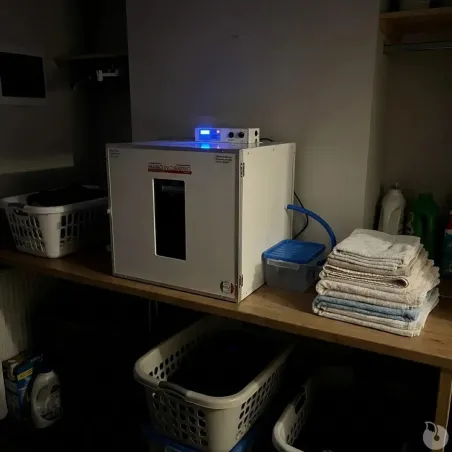 Kit couveuse évolutive 3 tiroirs d'incubation poule