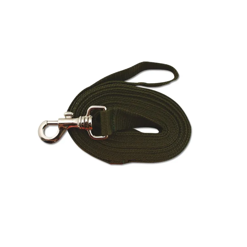 Longe pour chien 5m orange 