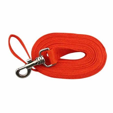 Longe pour chien 5m orange 