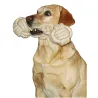 Jeu chien Os en corde 25 ou 40 cm