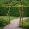 Arche de jardin 140 x 36 x 240 cm