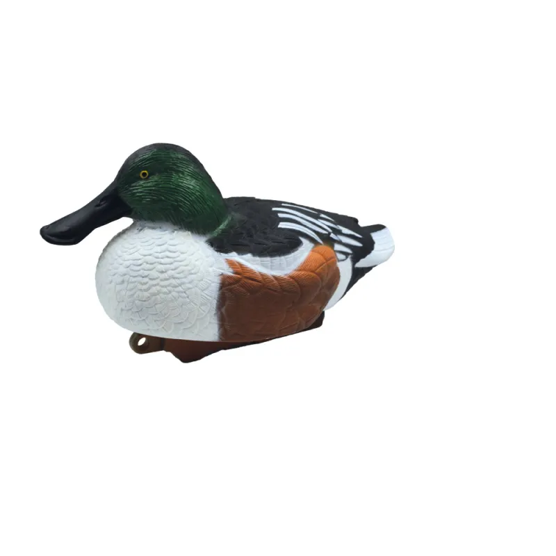 Appelant Souchet mâle HD 37 x 18cm