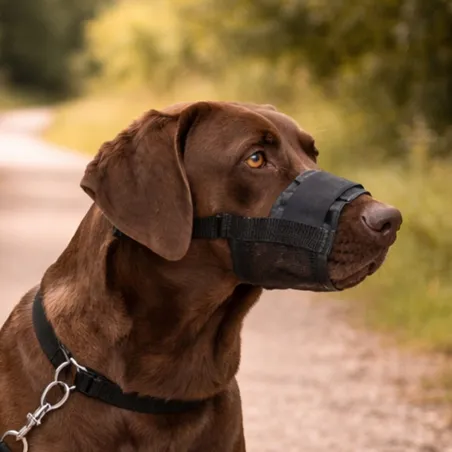 Muselière pour chien en nylon