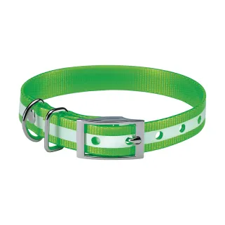 Collier phosphorescent vert Stepland® – 45 cm chien