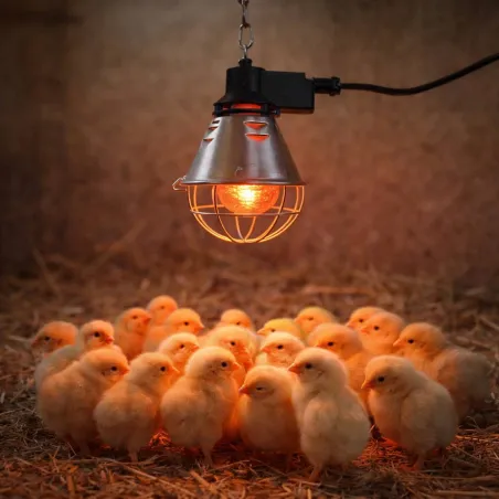 Éleveuse électrique économique 220 V