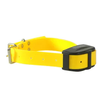 Collier Supplémentaire pour DT2000 en nylon jaune