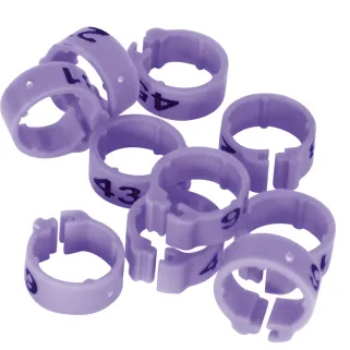 Bagues Spécial Pigeon Marquage Laser Indélébile numérotées 26-50 Violet