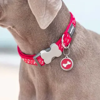 Médaille personnalisable en acier inoxydable - RedDingo