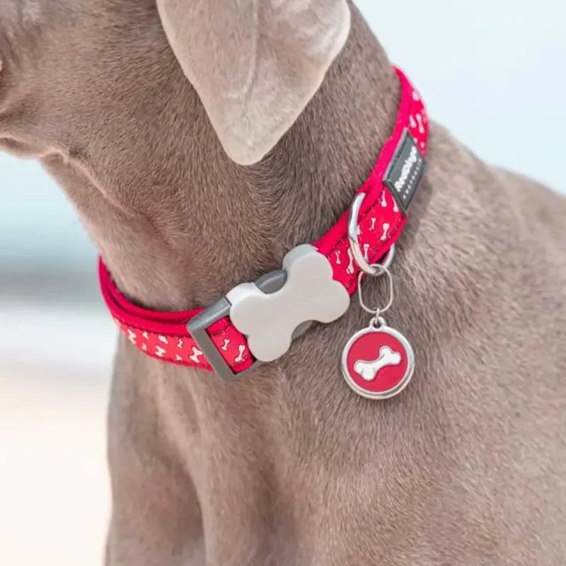 Médaille personnalisable en acier inoxydable - RedDingo