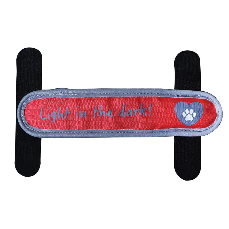 Lanière LED pour collier et harnais - Éclairage sécurisé 3 modes