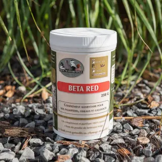 Beta Red 250g - Complément Alimentaire Naturel à la Betterave Rouge pour Oiseaux