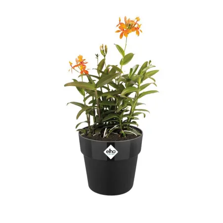 Pot plastique diamètre 22 cm hauteur 20cm noir Elho