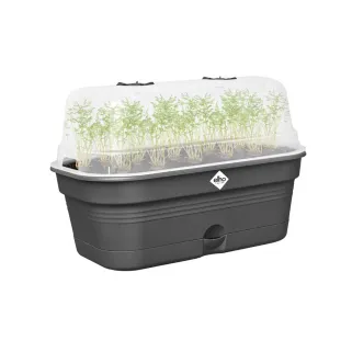 Bac de culture rectangulaire plastique 32 x 13 x 18 cm