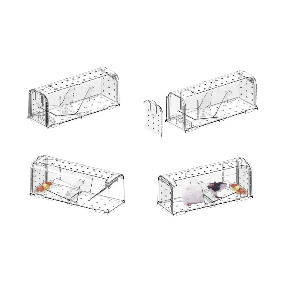 Mini-volière papillon pour kit d'élevage - Cage à insectes - Papillons