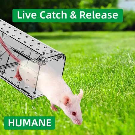 Lot de 2 cages à souris en plastique résistantes avec aération