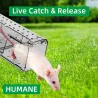 Lot de 2 cages à souris en plastique résistantes avec aération