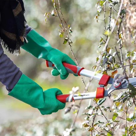 Gants de Jardin Roncier - Protection Anti-Épineux Black Fox